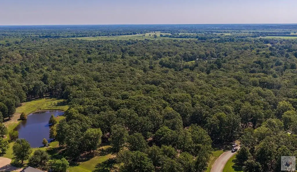 12 Bent Tree Road, Texarkana, TX 75503 - #1