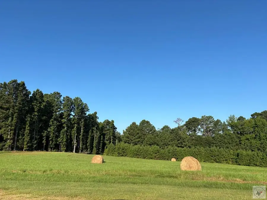 238 Miller County 75, Doddridge, AR 17854 - #2