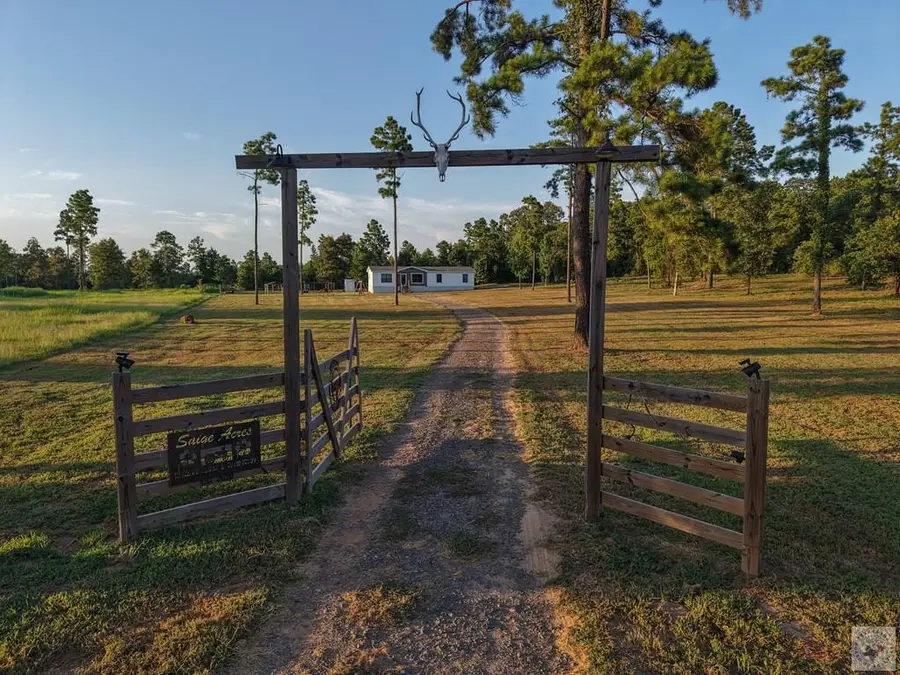 20289 S Fm 125, Bivins, TX 75555 - #3
