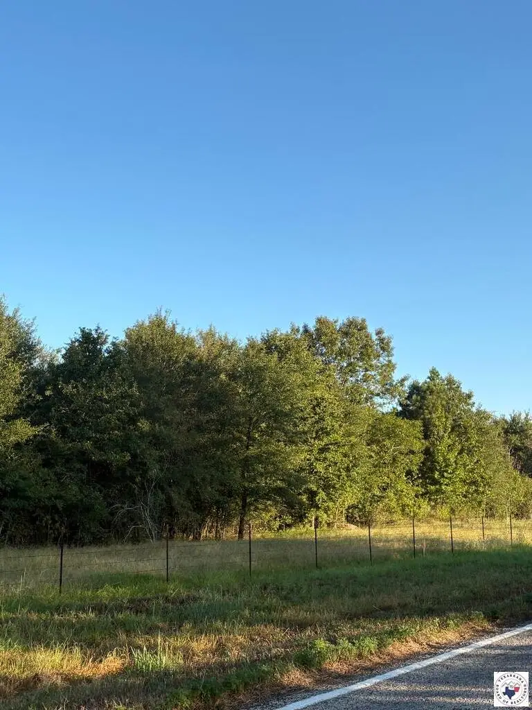 TBD Tract 4 Hwy 990, Simms, TX 75574 - #1