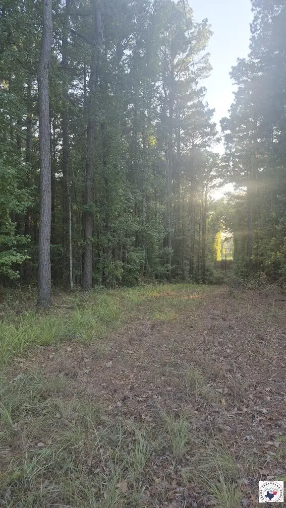 TBD Fm 561, Simms, TX 75574 - #3
