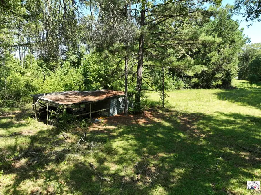 336 Cr 3992, Bloomburg, TX 75556 - #3