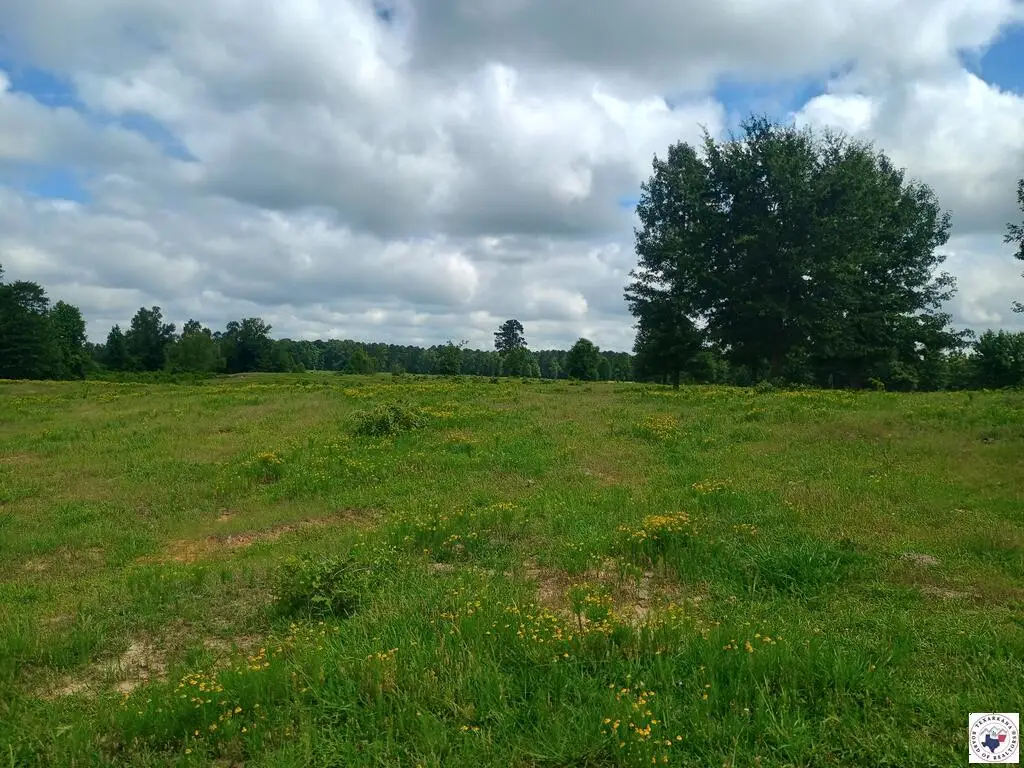TBD Tract 7 Hwy 990, Simms, TX 75574 - #1