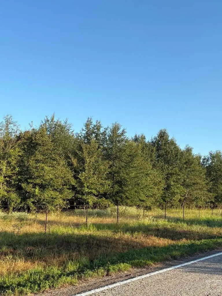 TBD Tract 7 Hwy 990, Simms, TX 75574 - #3