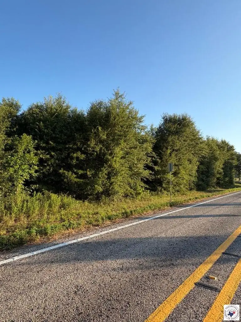 TBD Tract 12 Hwy 990, Simms, TX 75574 - #1