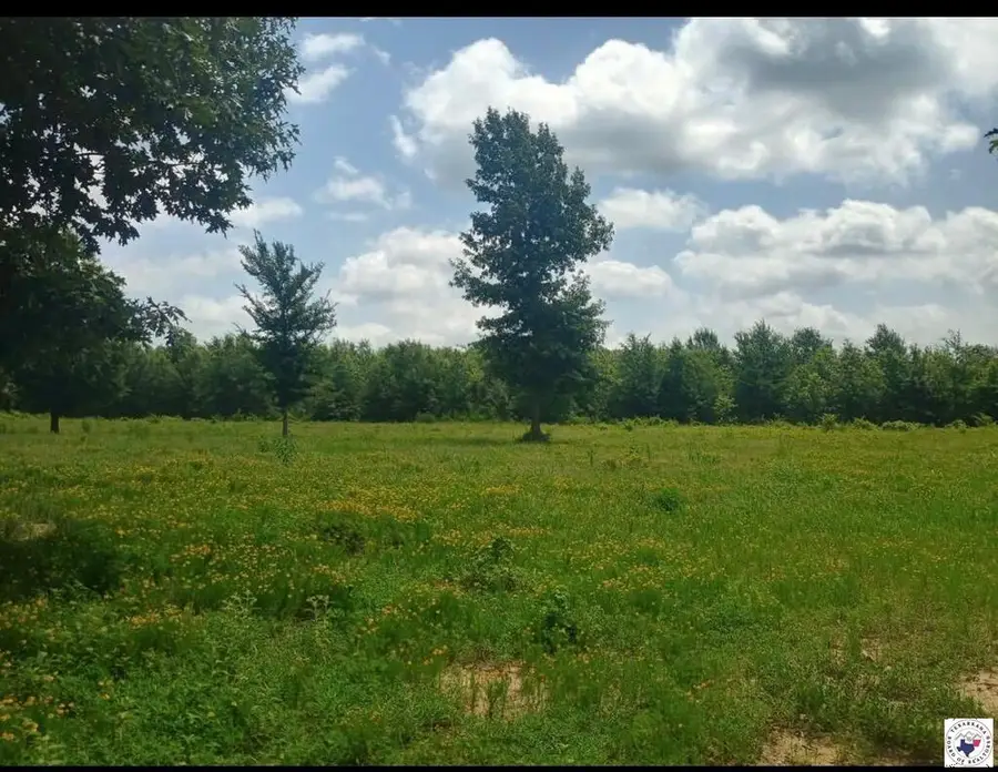 TBD Tract 12 Hwy 990, Simms, TX 75574 - #2