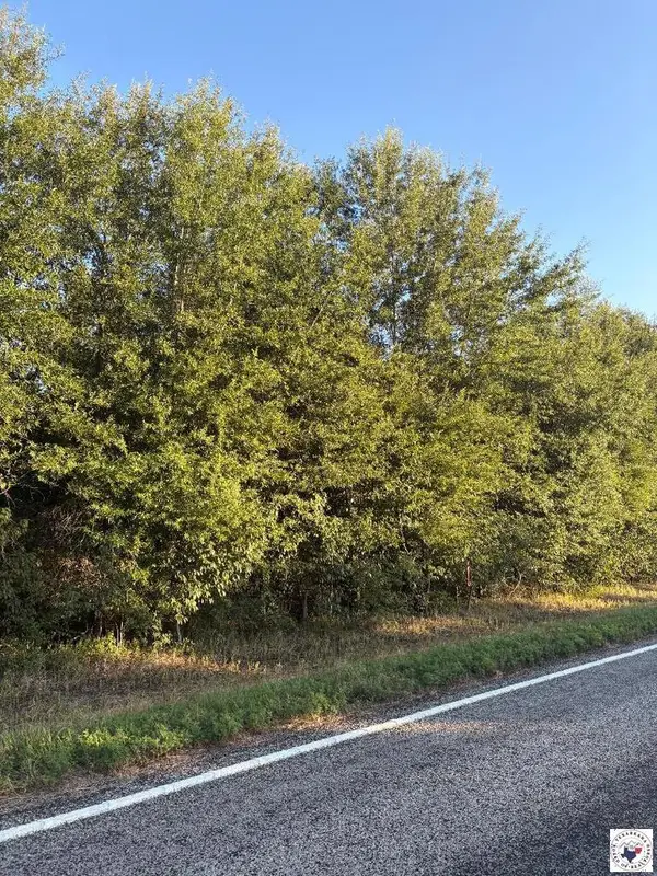TBD Tract 16 Hwy 990, Simms, TX 75574