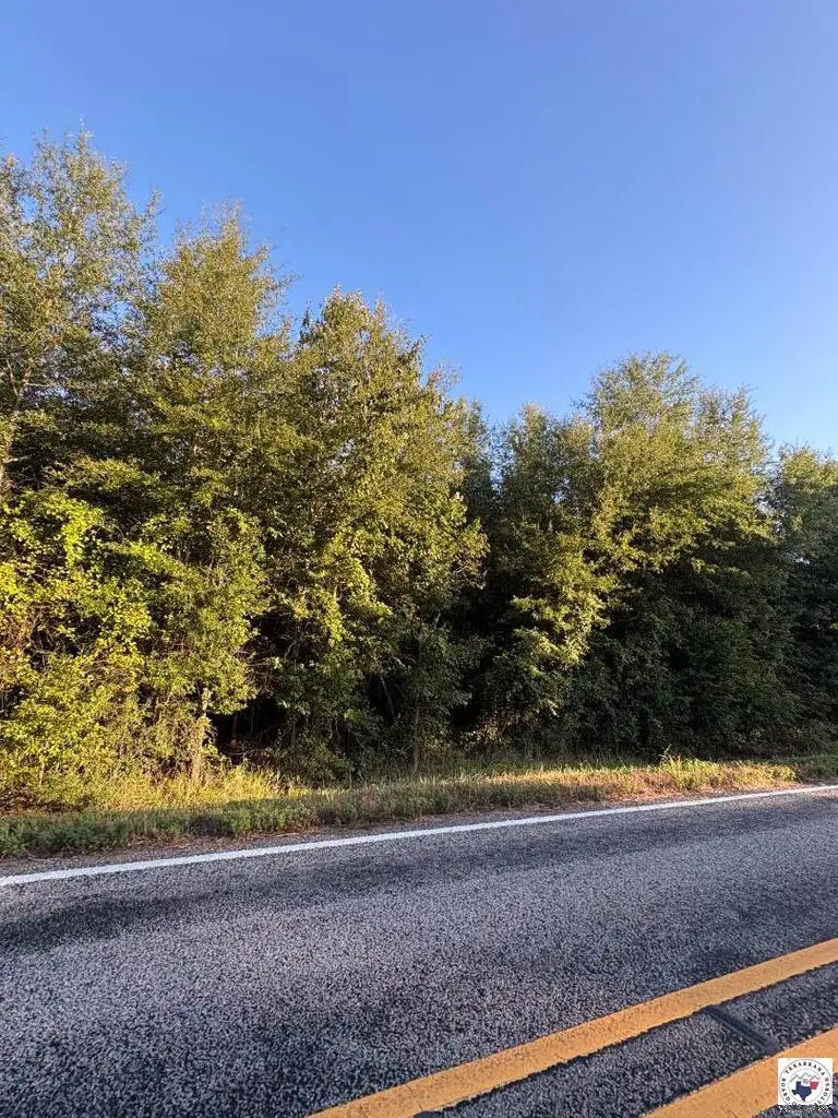 TBD Tract 18 Hwy 990, Simms, TX 75574 - #1