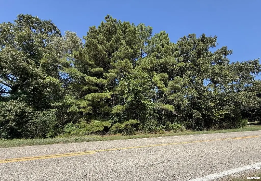 TBD Fm 2789, De Kalb, TX 75559 - #1
