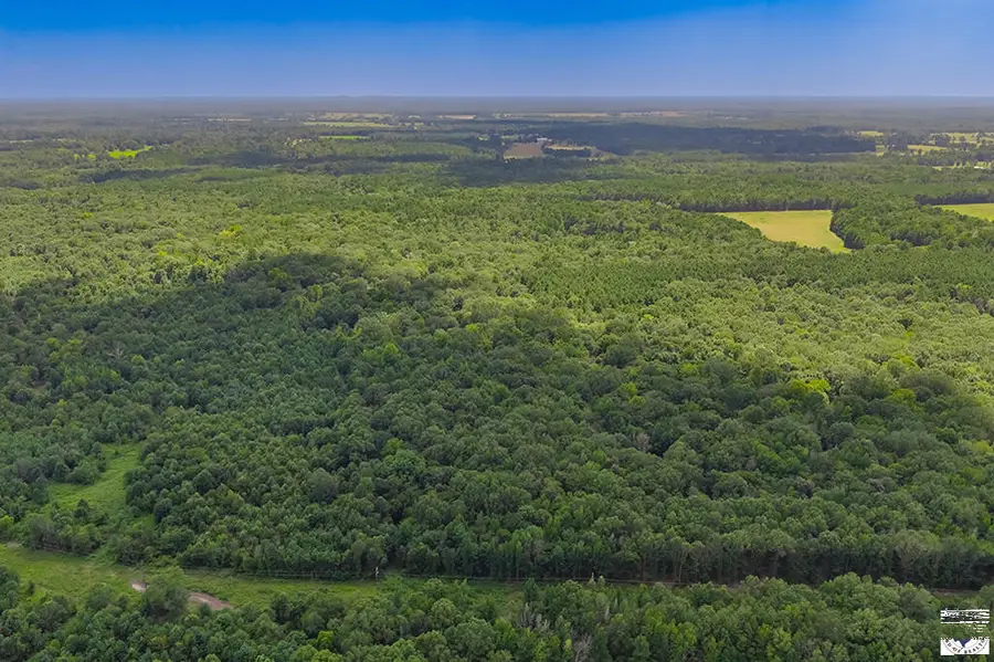 5695 County Road 4116, Simms, TX 75574 - #2