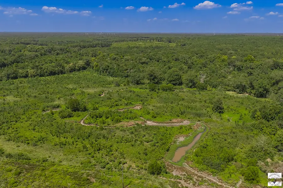 5695 County Road 4116, Simms, TX 75574 - #3