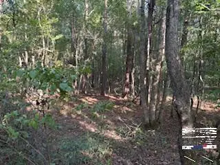 TBD Pr 1088, Fouke, AR 71837