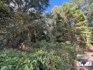 TBD Pr 1088, Fouke, AR 71837 - #2