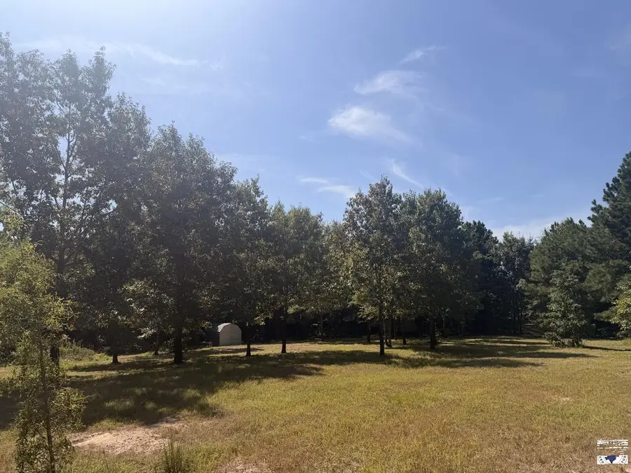 tbd FM 1841 Fm 1841, Bivins, TX 75555 - #2