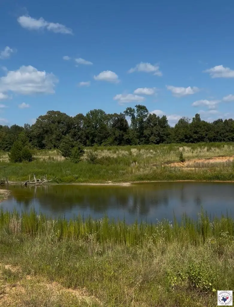 243 Cr 2513, Naples, TX 75568 - #1