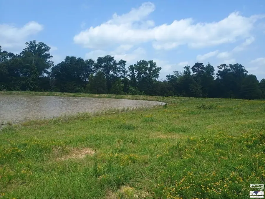 TBD Tract 7,8,9 Hwy 990, Simms, TX 75574 - #3