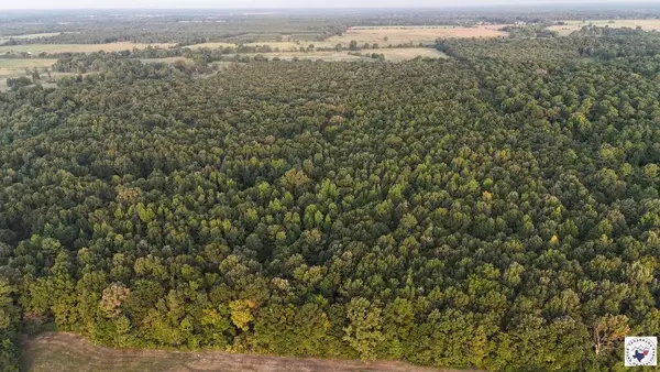23 Little River County Road, Ashdown, AR 71822