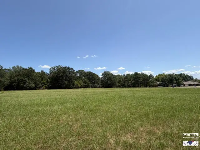 2727 Shady Hollow Drive, Mount Pleasant, TX 75455 - #3