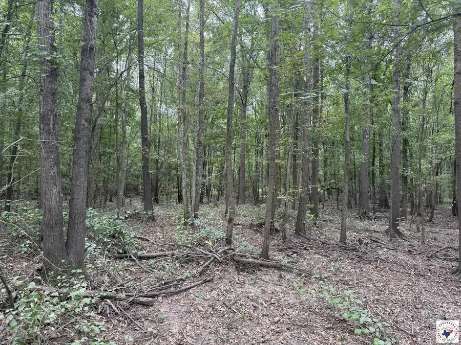 TBD Cr 4126, Maud Redwater, TX 75770 - #3