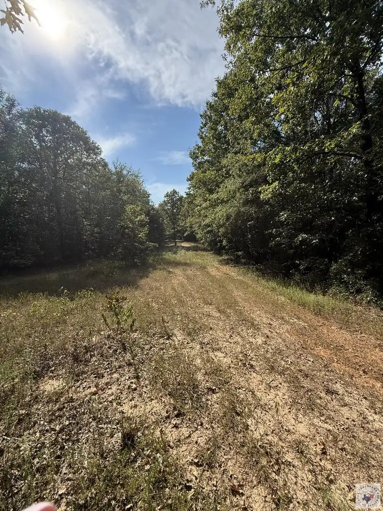 371 County Road 4266, Simms, TX 75574 - #1