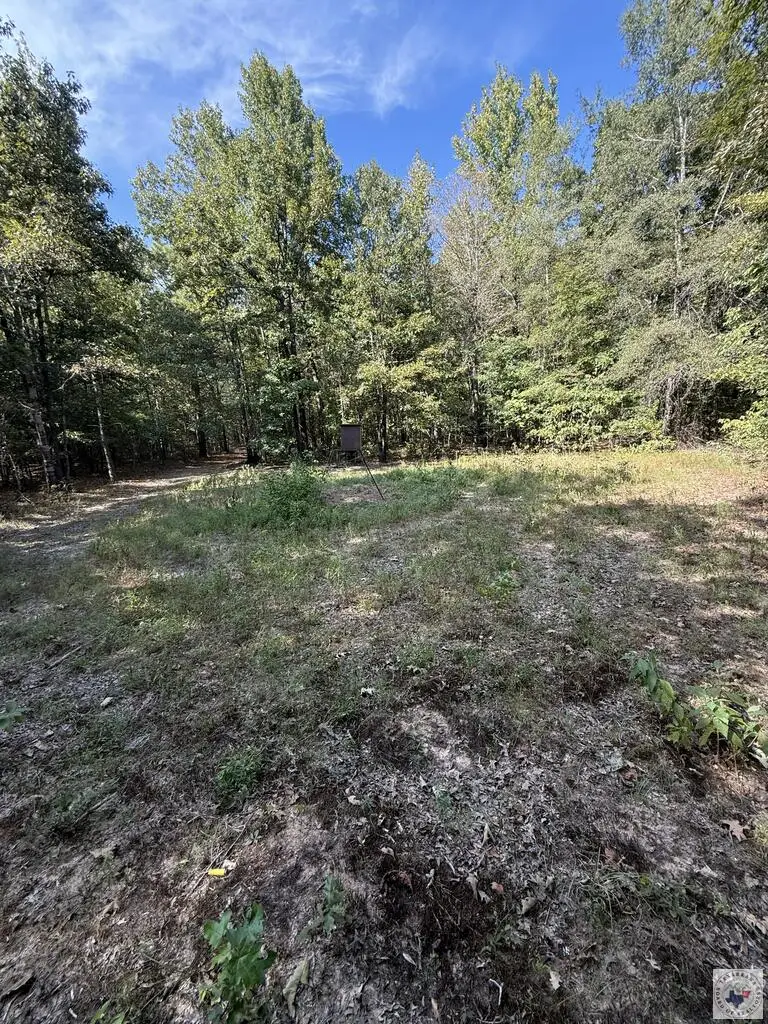371 County Road 4266, Simms, TX 75574 - #2