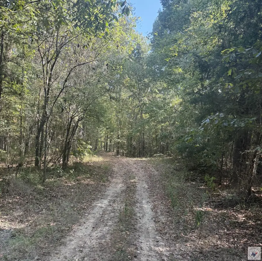 371 County Road 4266, Simms, TX 75574 - #3