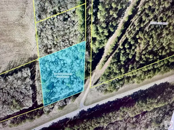 TBD1 HWY67 Hwy 67, Maud, TX 75567