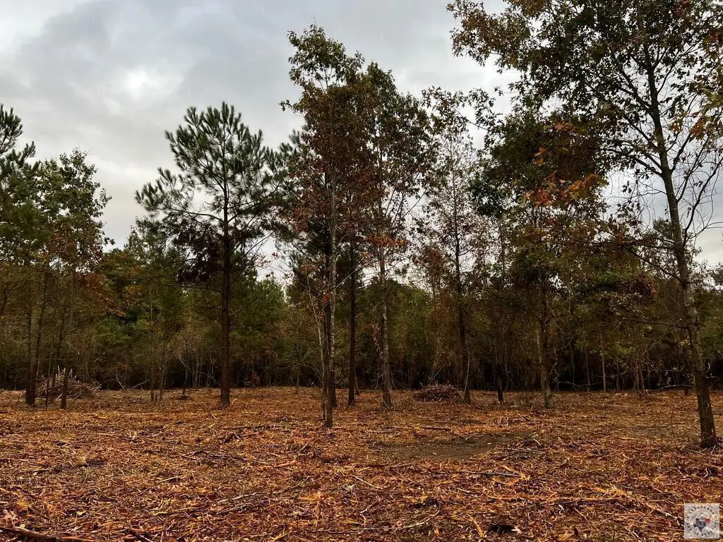 7710 Dooley Ferry, Texarkana, AR 71854 - #1
