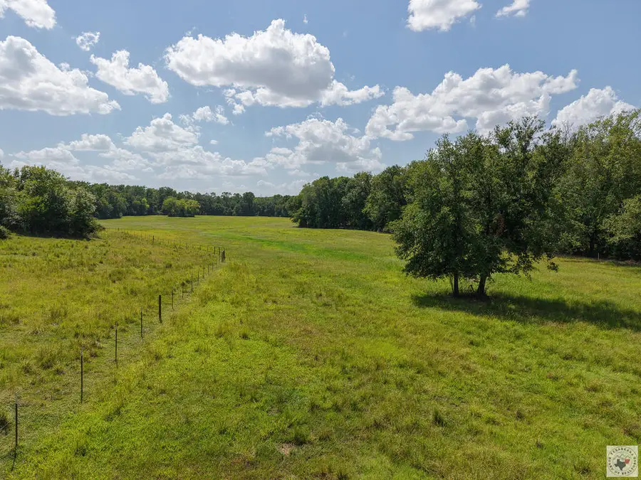 0000 Hwy 67, Mount Vernon, TX 75457 - #2