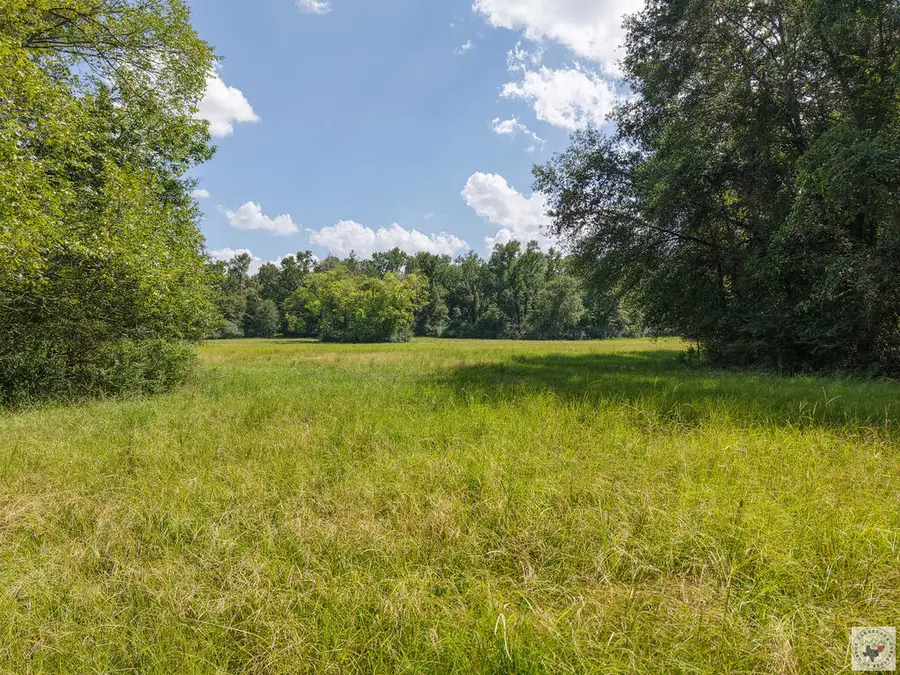 0000 Hwy 67, Mount Vernon, TX 75457 - #3