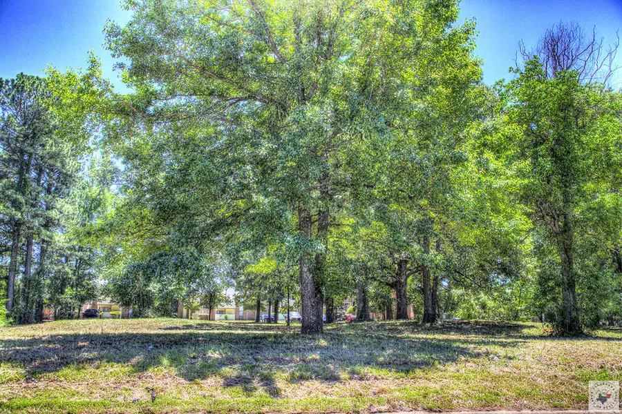 0 Richmond Meadow, Texarkana, TX 75503 - #2