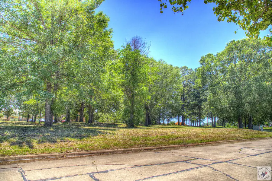 0 Richmond Meadow, Texarkana, TX 75503 - #3