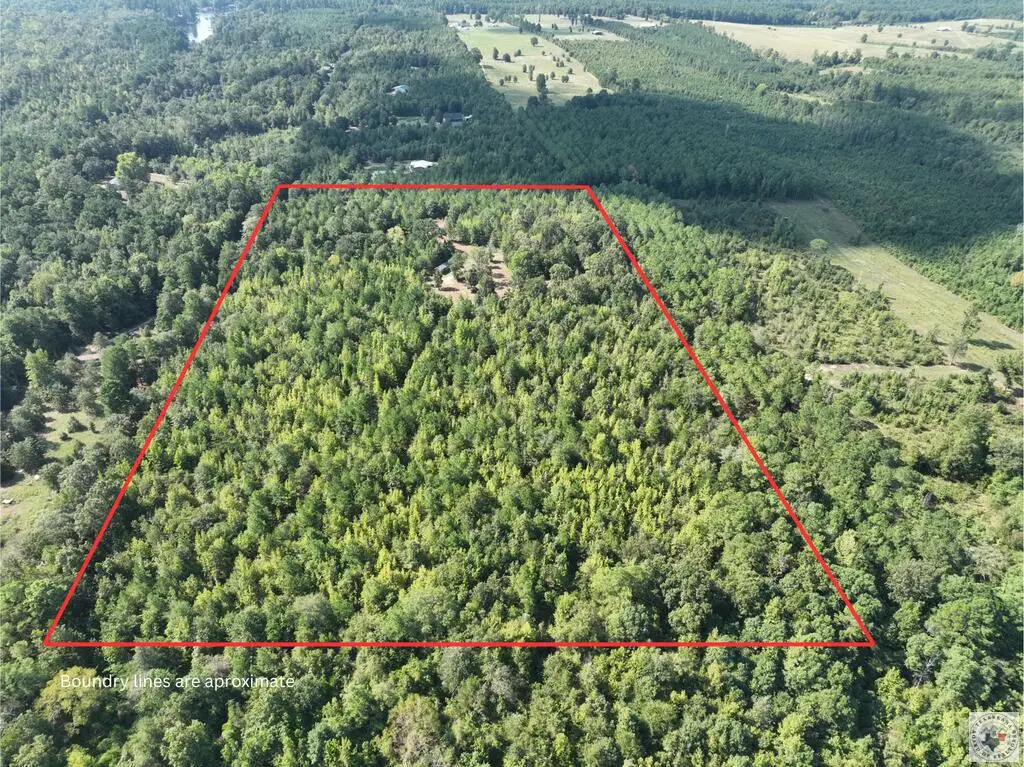 TBD Cr 1349, Linden, TX 75563 - #1