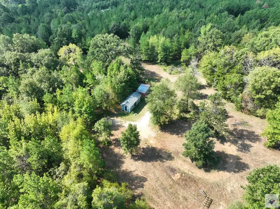 TBD Cr 1349, Linden, TX 75563 - #2