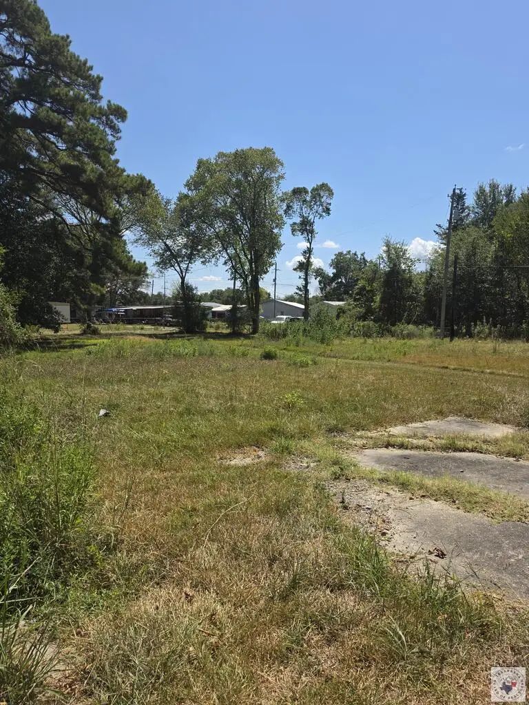 835 Presley St, Hooks, TX 75561 - #2