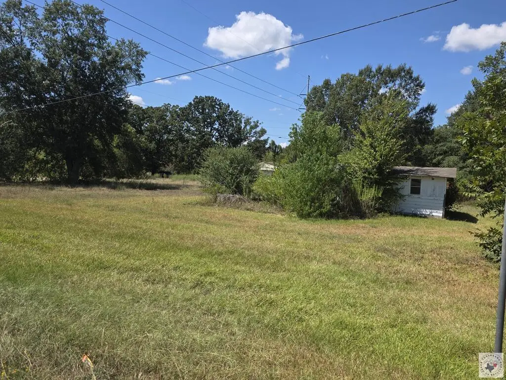 921 Randall Plattner, Hooks, TX 75561 - #1