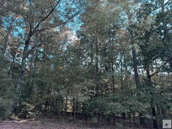 403 Forest Lake Dr, Texarkana, TX 75503