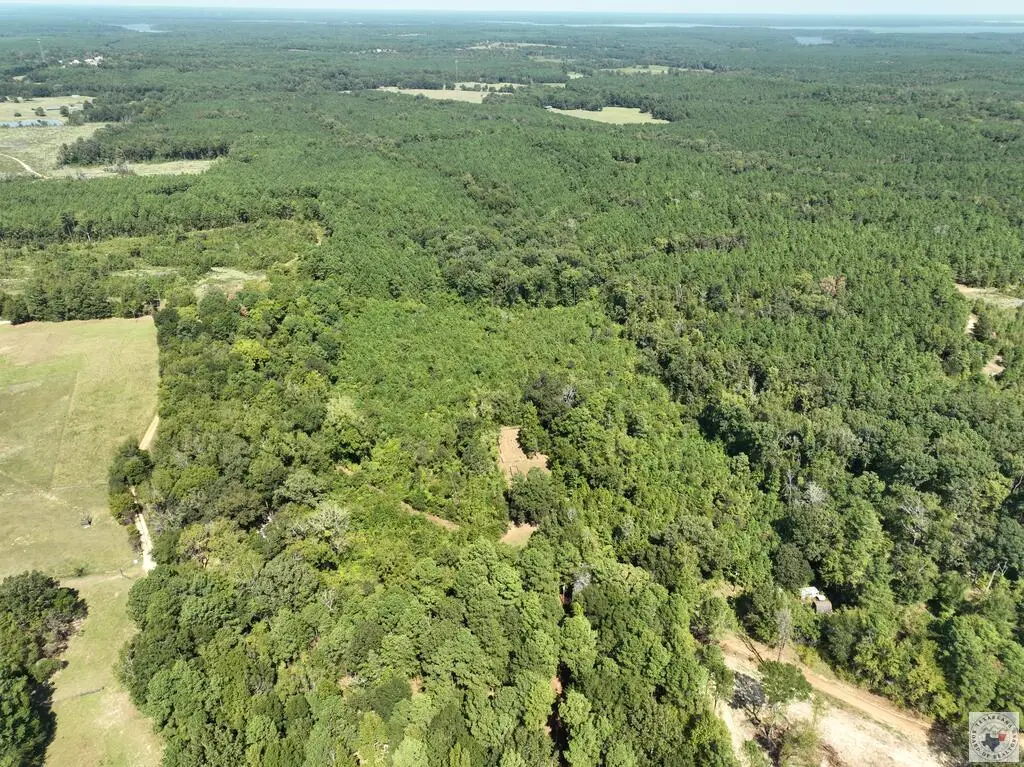 1052 Cr 2235, Douglassville, TX 75560 - #1