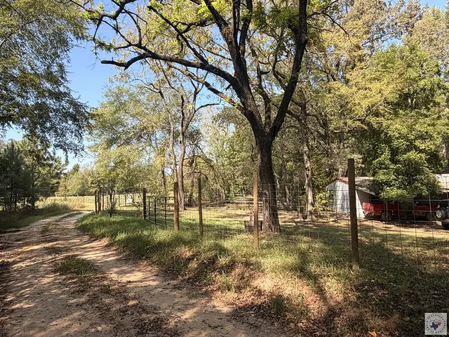 1052 Cr 2235, Douglassville, TX 75560 - #2