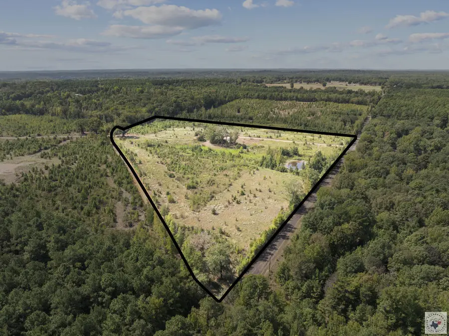1225 County Road 4230, Atlanta, TX 75551 - #2