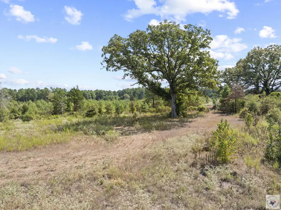 1225 County Road 4230, Atlanta, TX 75551 - #3