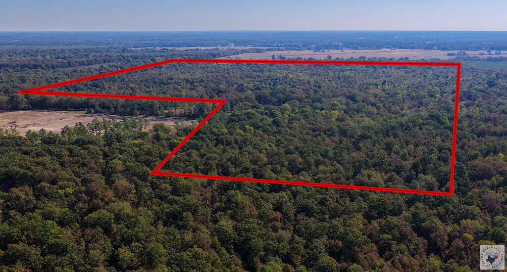 1773 Cr 4306, Dalby Springs Simms, TX 75559 - #1