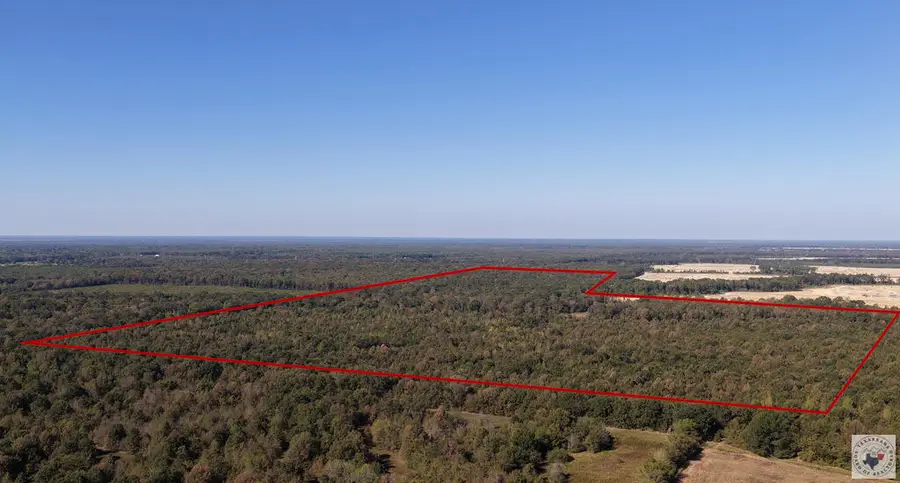 1773 Cr 4306, Dalby Springs Simms, TX 75559 - #3