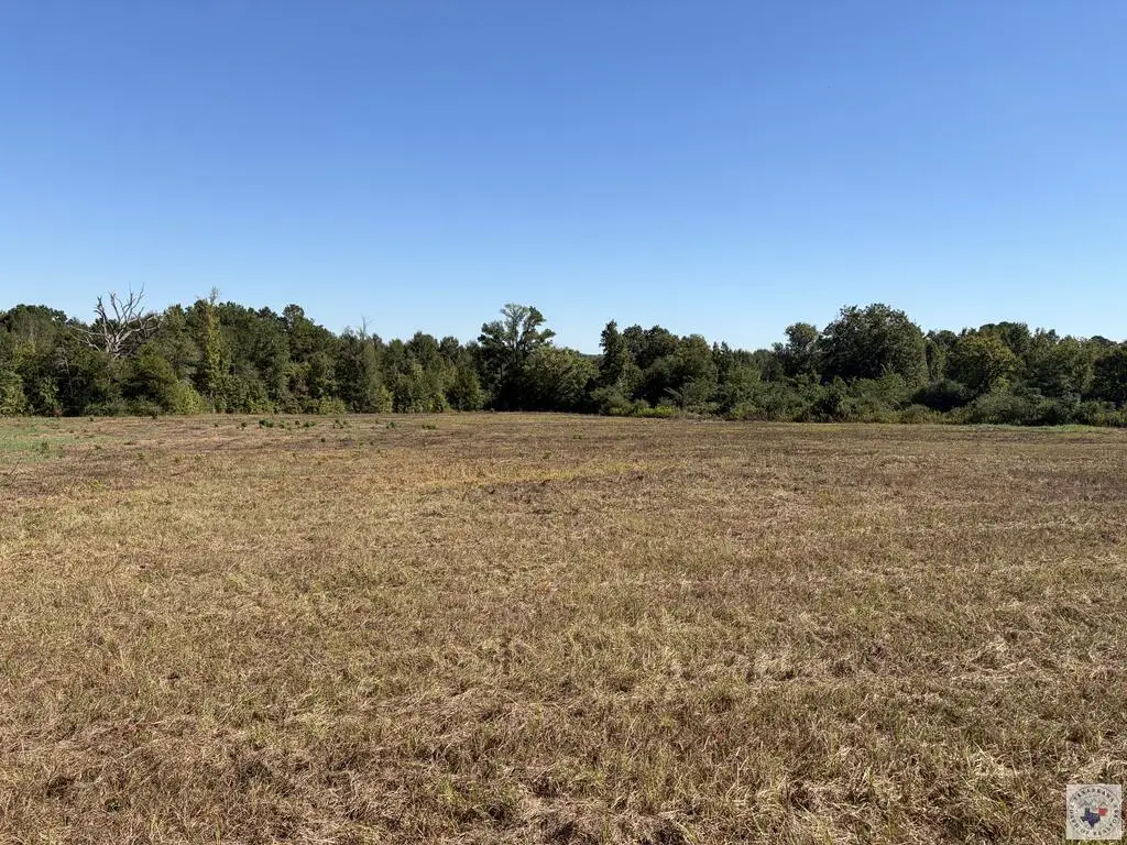 TBD Cr 4114, Atlanta, TX 75551 - #1