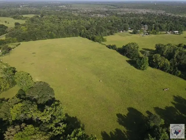 4221 W Fm 114, Avery, TX 75554 - #1