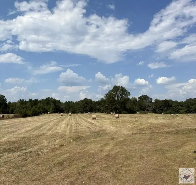 4221 W Fm 114, Avery, TX 75554 - #3