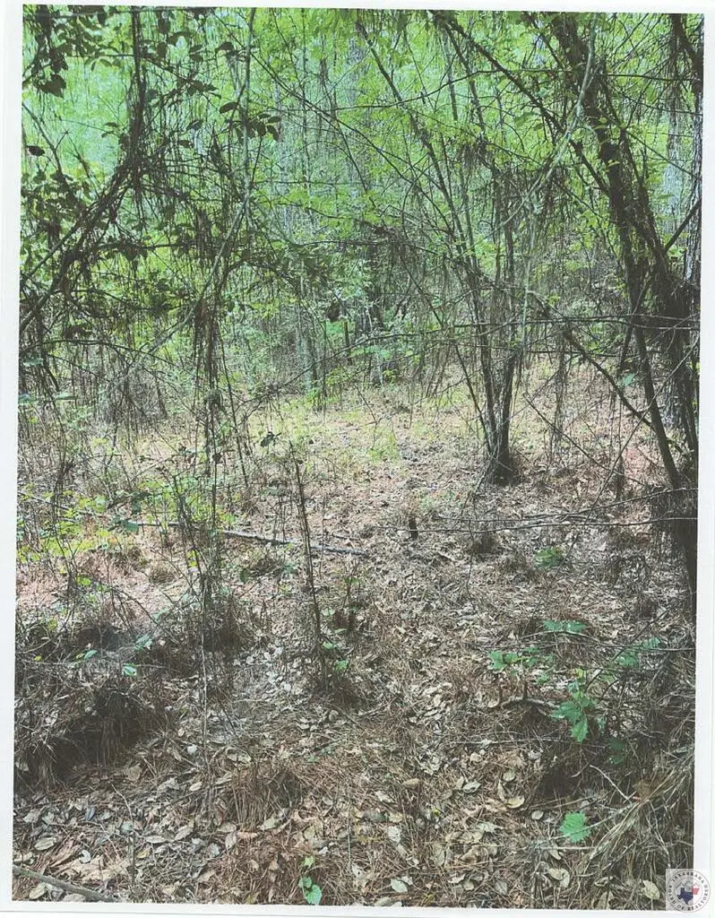 No Number Turk Road, Texarkana, AR 71854 - #2