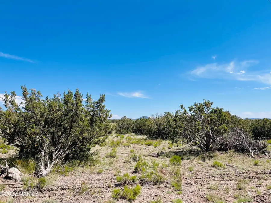 2074 W Critter Pass, Williams, AZ 86046 - Image #3