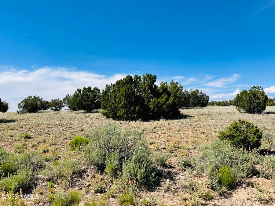 6745 Red Moon Trail, Williams, AZ 86046 - Image #2