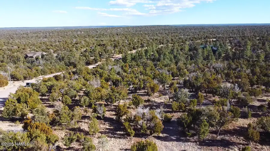 4367 Sunset Ridge Drive, Happy Jack, AZ 86024 - #2